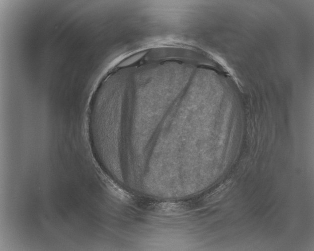 X0000075411463200610061945