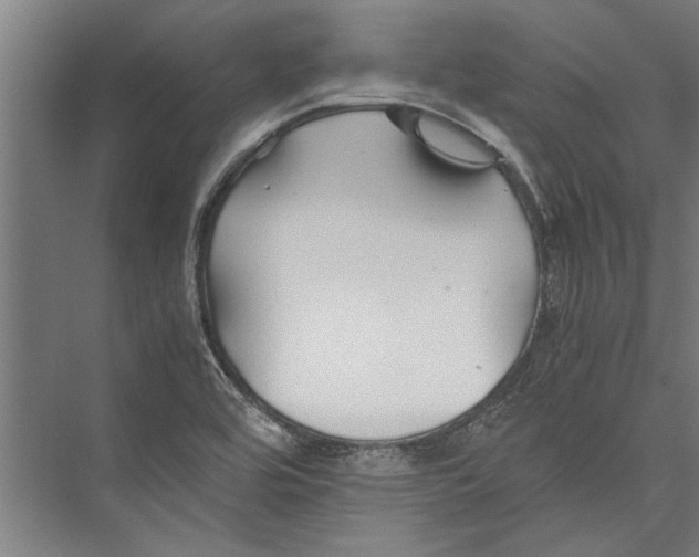 X0000075411464200610061945