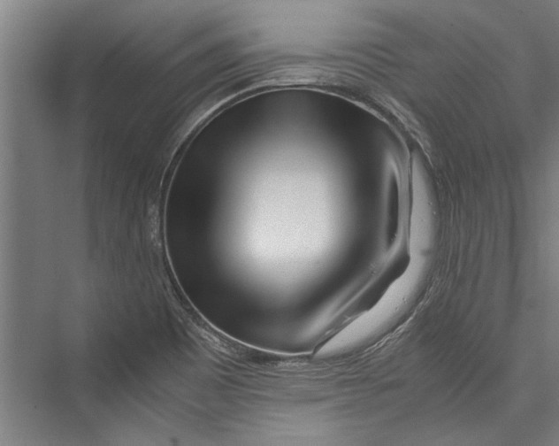 X0000075411465200610061945