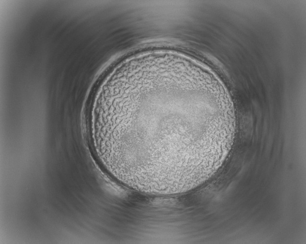 X0000075411466200610061945