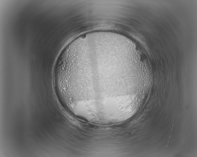 X0000075411467200610061945