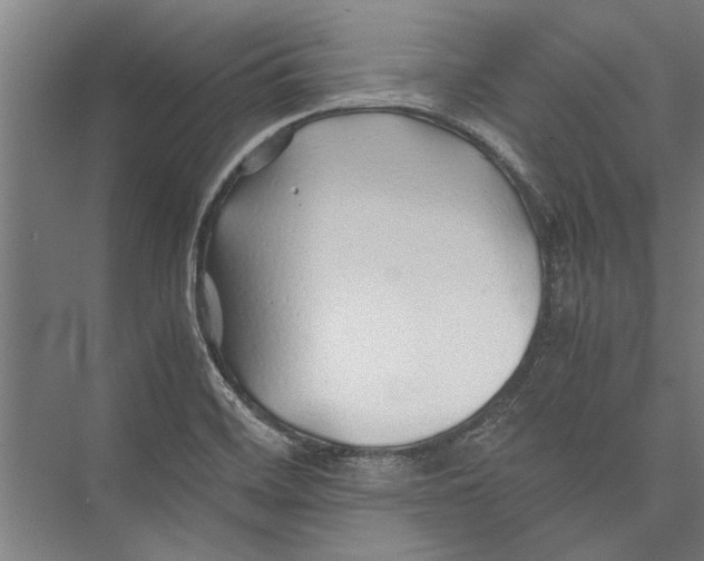 X0000075411468200610061945