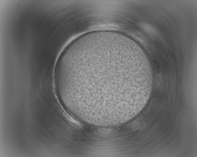 X0000075411470200610061945