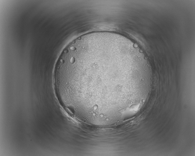 X0000075411471200610061945