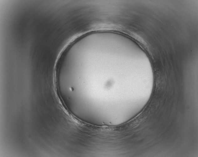 X0000075411472200610061945