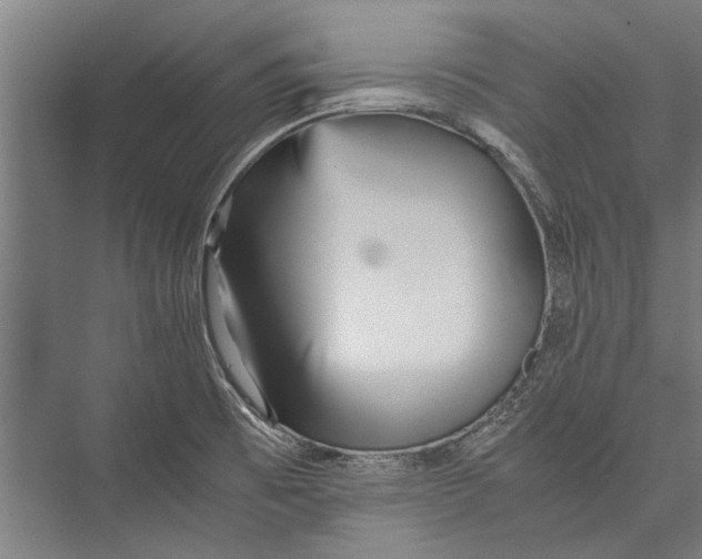 X0000075411473200610061945