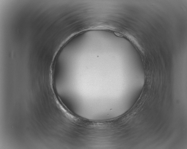 X0000075411476200610061944