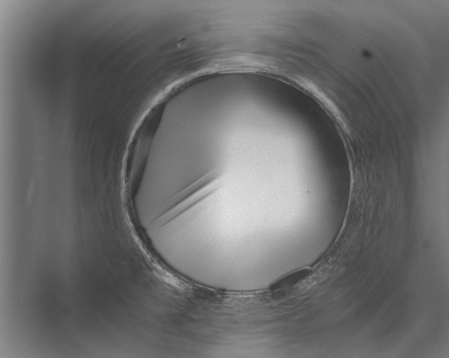 X0000075411477200610061944