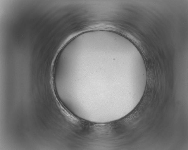 X0000075411478200610061944