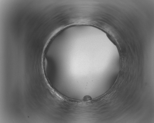 X0000075411480200610061944