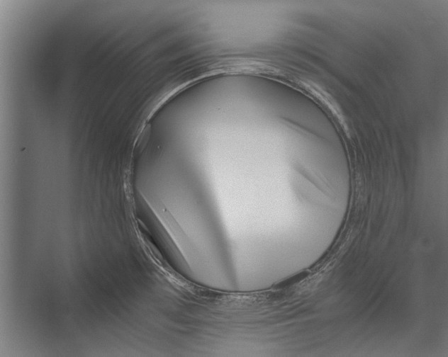 X0000075411481200610061944