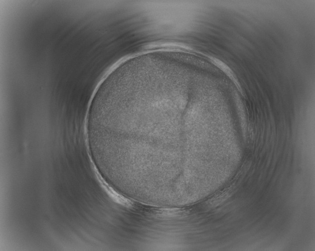 X0000075411482200610061944