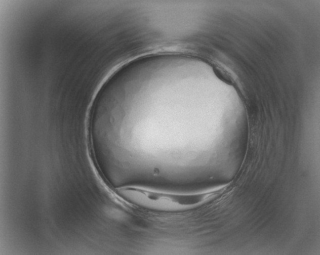 X0000075411483200610061944