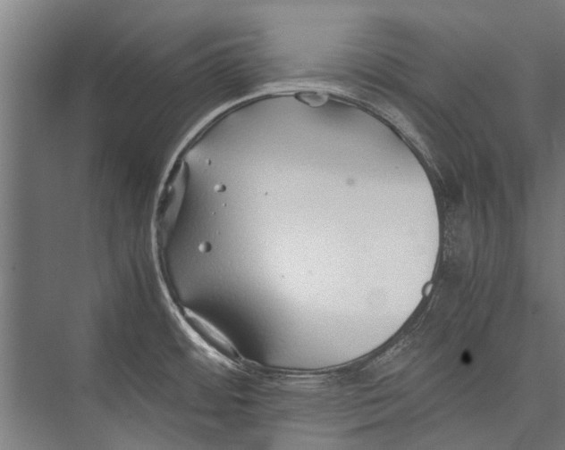 X0000075411484200610061944