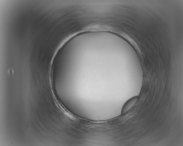 X0000075411486200610061944