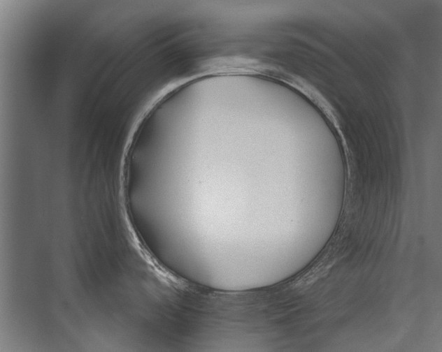 X0000075411488200610061944