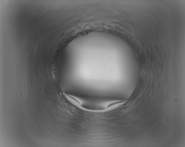 X0000075411490200610061943