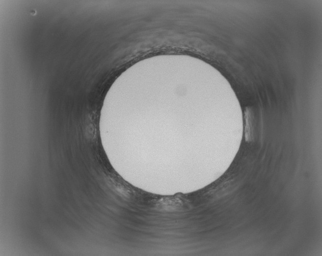 X0000075411491200610061943