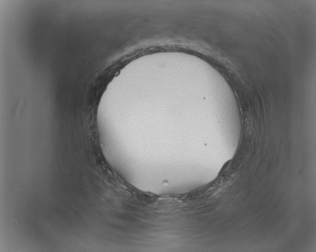 X0000075411494200610061944