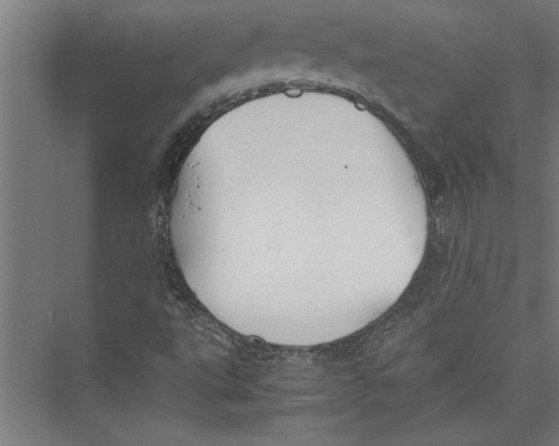 X0000075411495200610061944