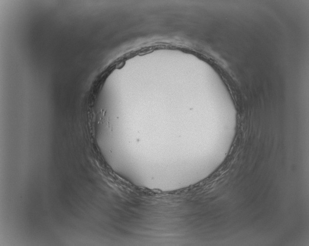 X0000075411496200610061944