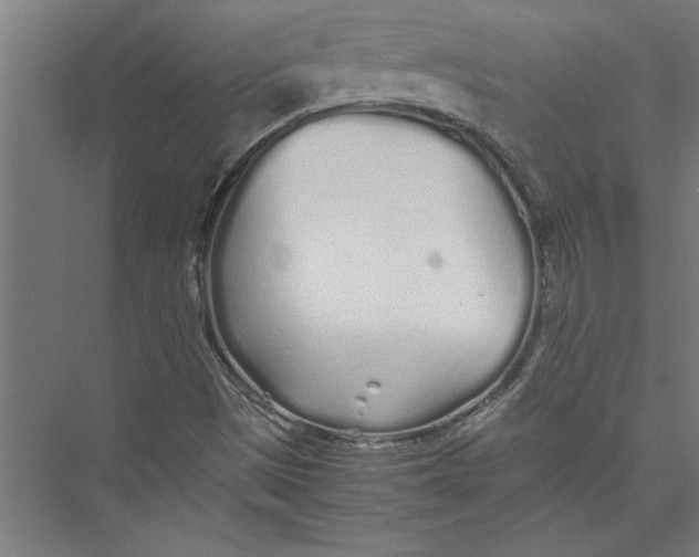 X0000075411497200610061944