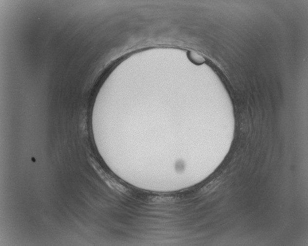 X0000075411499200610061944