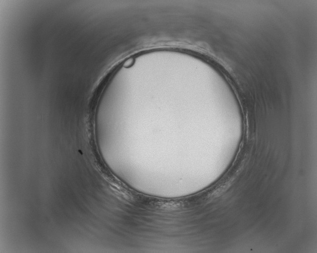 X0000075411501200610061944