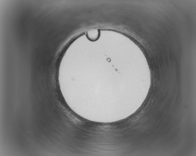 X0000075411502200610061944