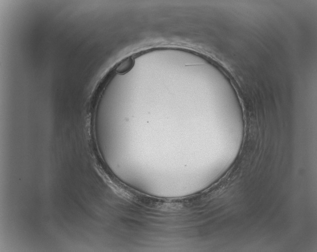 X0000075411503200610061944