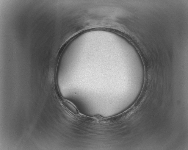 X0000075411505200610061944