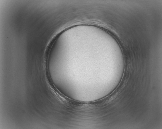 X0000075411506200610061944