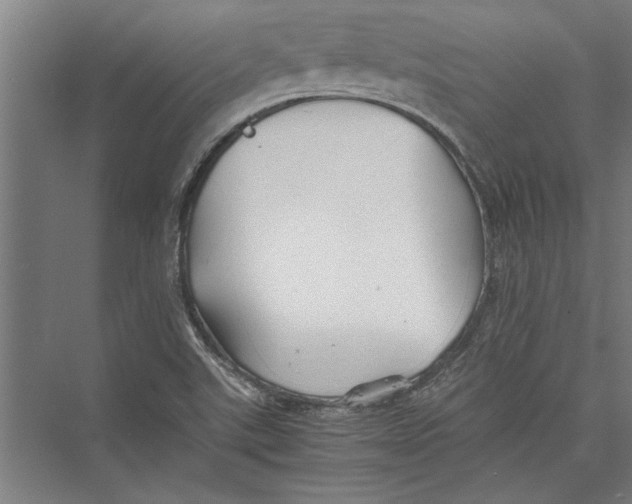 X0000075411507200610061944