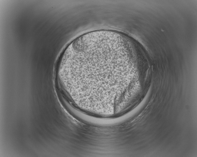 X0000075411508200610061944