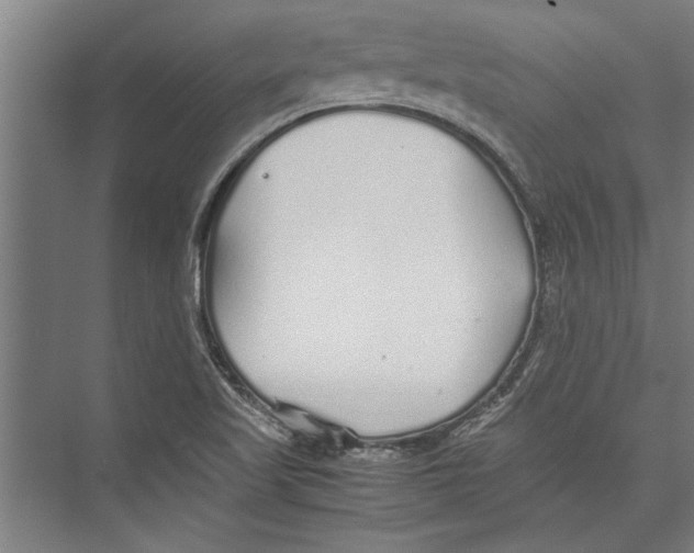 X0000075411509200610061944