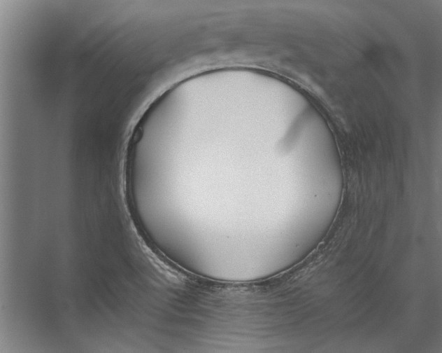 X0000075411512200610061944