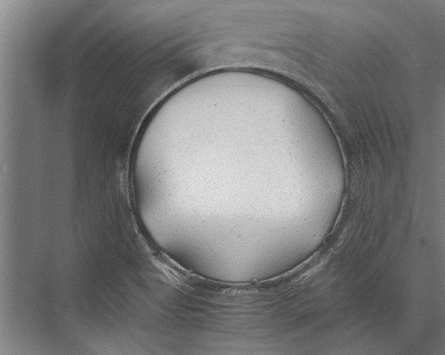 X0000075411513200610061944