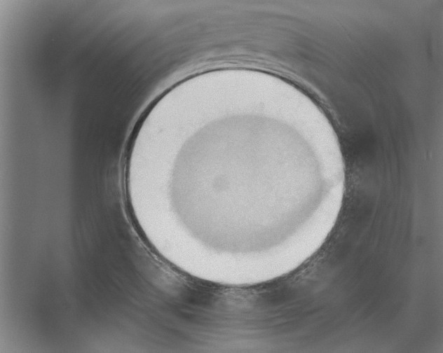 X0000075411514200610061944