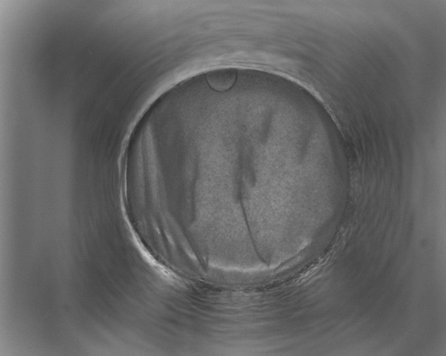 X0000075411515200610061944