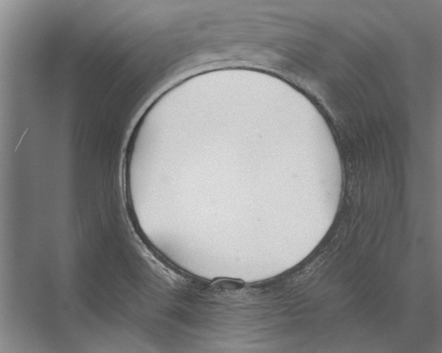 X0000075411516200610061944