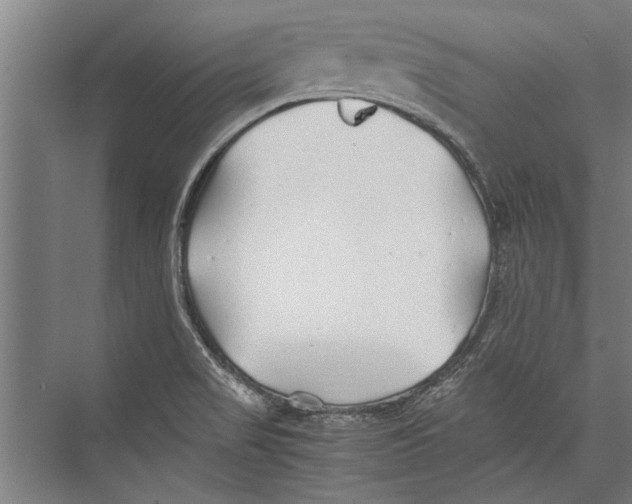 X0000075411517200610061944