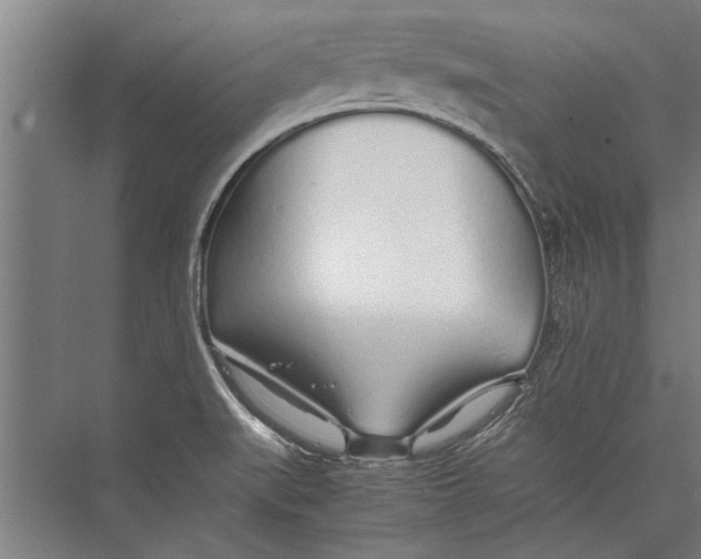 X0000075411519200610061944