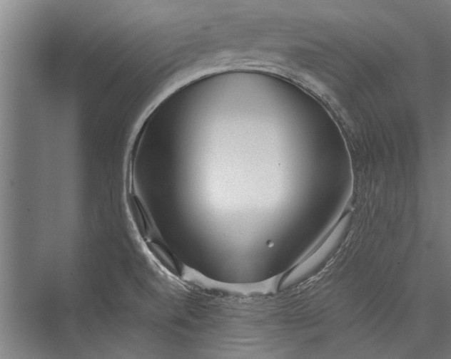 X0000075411520200610061944