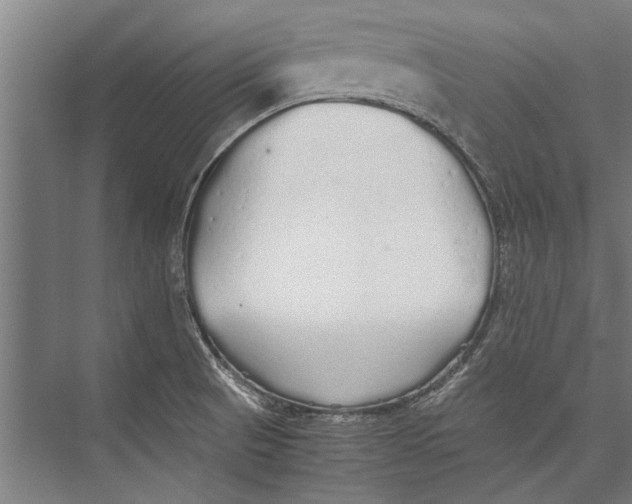 X0000075411521200610061944