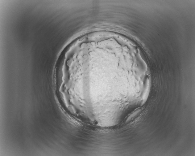 X0000075411522200610061944