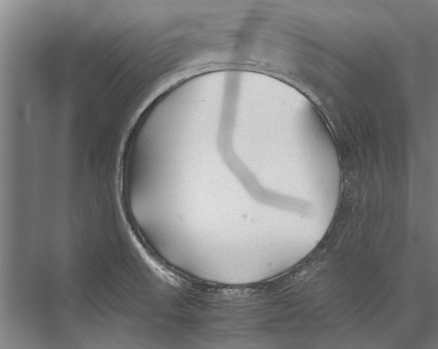 X0000075411523200610061944