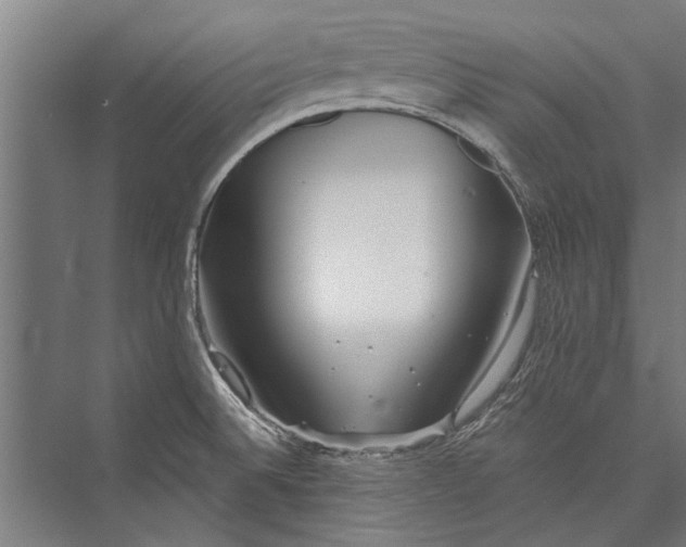 X0000075411524200610061944