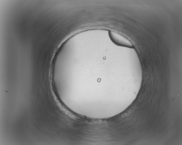 X0000075411526200610061944