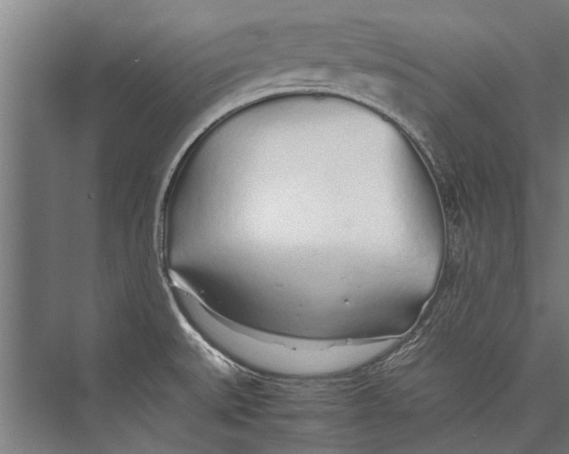 X0000075411527200610061944