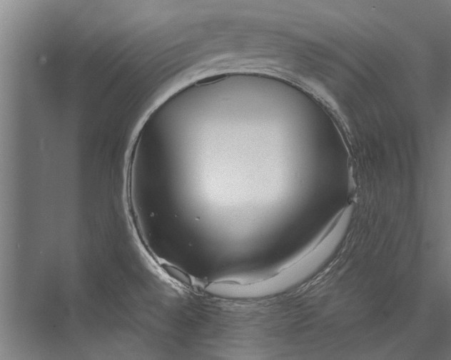 X0000075411528200610061944